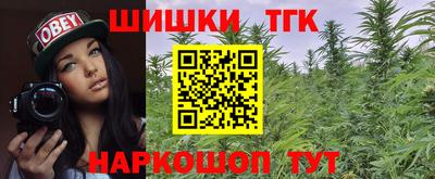 гидра Новозыбков