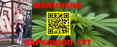гидра Новозыбков