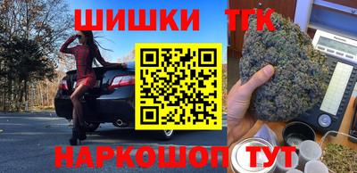 МДПВ Новодвинск