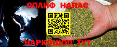 МДПВ Новодвинск