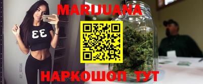 МДПВ Новодвинск