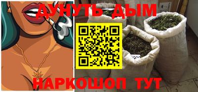 гидра Новозыбков