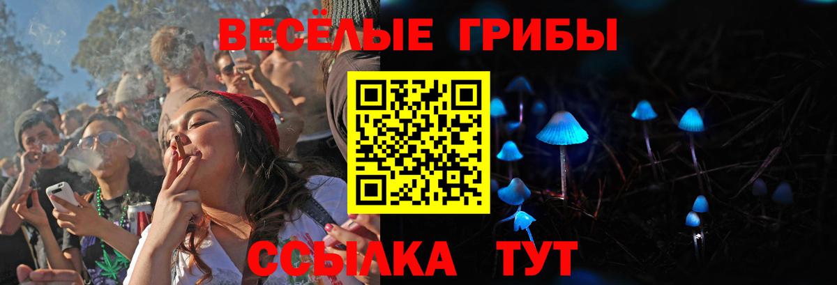 Галлюциногенные грибы мицелий  сколько стоит  Сланцы  Вход с VPN 