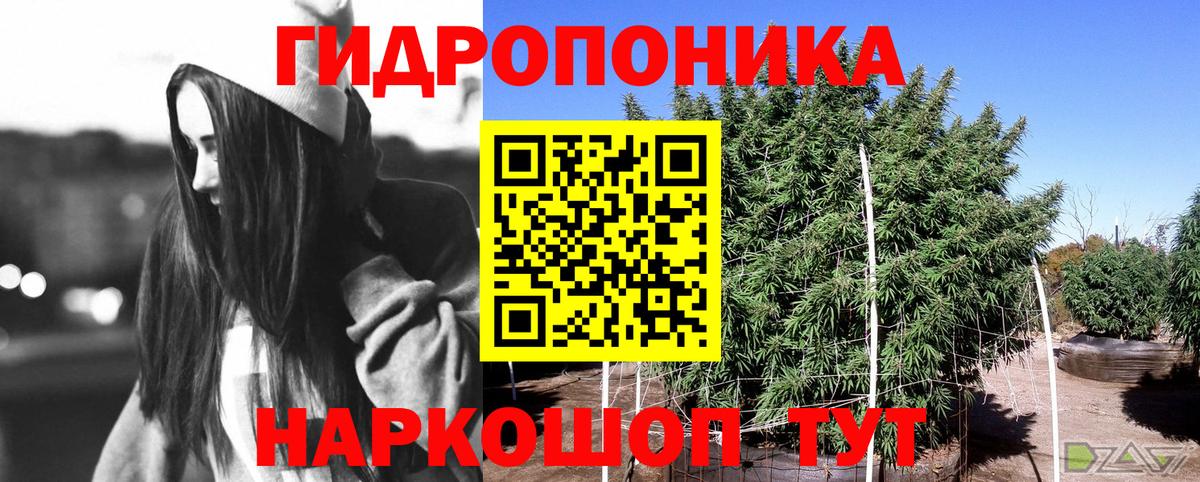 Каннабис конопля  Вход с VPN  Шишки марихуана план  Сланцы  Канабис конопля 